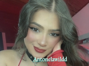 Antonelawildd