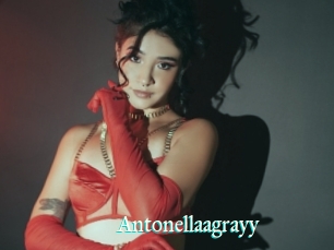 Antonellaagrayy