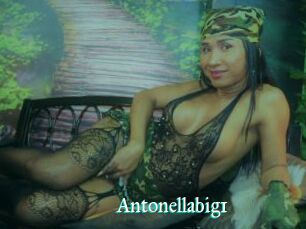 Antonellabig1