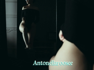 Antonellaroosee