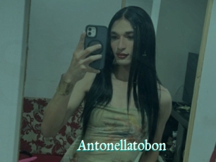 Antonellatobon