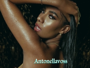 Antonellavoss