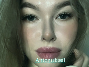 Antoniabasil