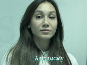 Antoniacady