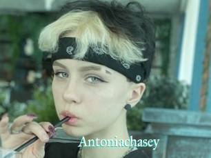 Antoniachasey