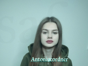 Antoniacordner