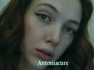Antoniacure