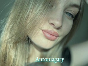 Antoniagary