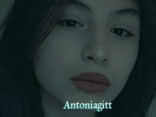 Antoniagitt