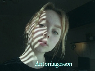 Antoniagosson