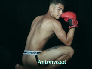 Antonycoot
