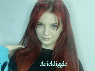 Arieldiggle