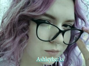 Ashleybarks