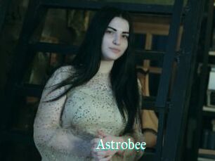 Astrobee