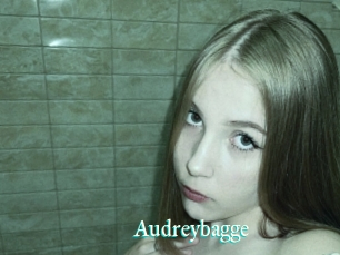 Audreybagge