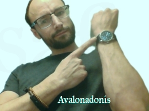 Avalonadonis