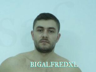 BIGALFREDXL