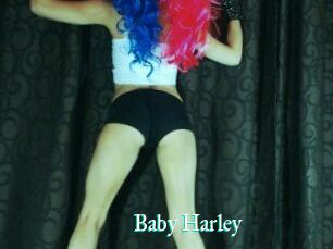 Baby_Harley