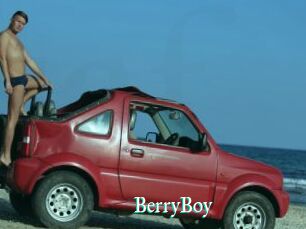 BerryBoy