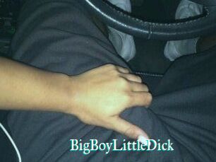 BigBoyLittleDick
