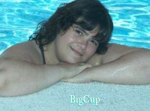 BigCup