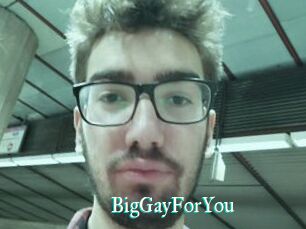 BigGayForYou