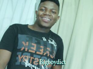 Bigboydict