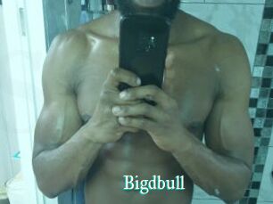 Bigdbull