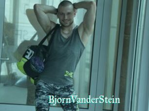BjornVanderStein