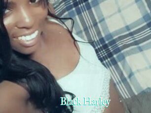 Black_Harley