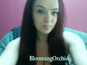 BloomingOrchid