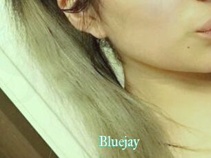 Blue_jay