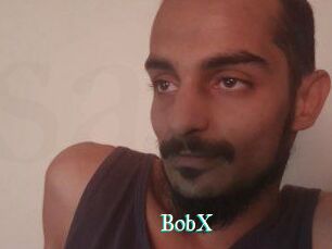 BobX