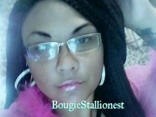 BougieStallionest