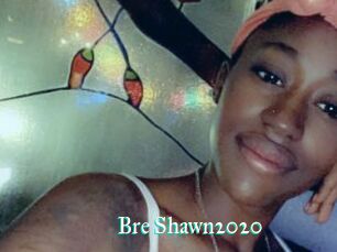 Bre_Shawn2020