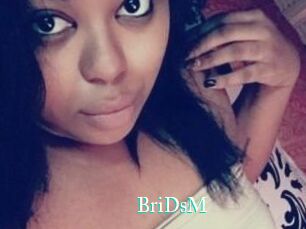 BriDsM