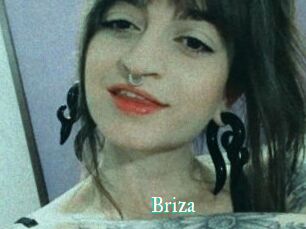 Briza
