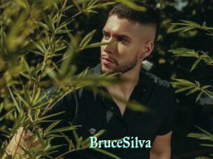 BruceSilva