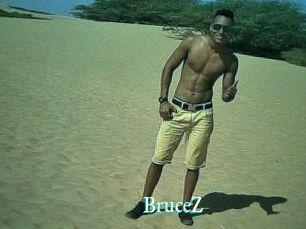 BruceZ