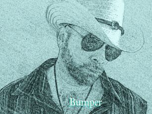 Bumper
