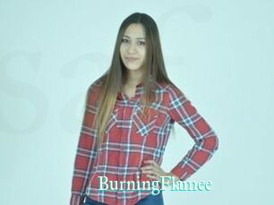 BurningFlamee