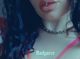 Badgarce