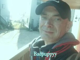 Badpuppyy