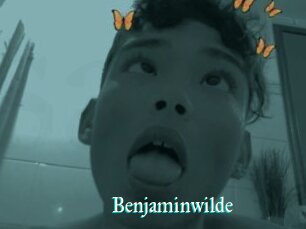 Benjaminwilde