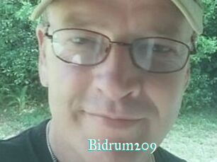 Bidrum209