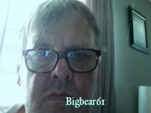 Bigbear61