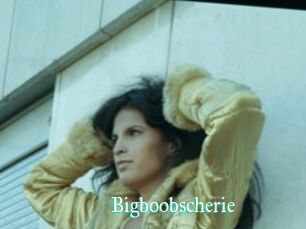 Bigboobscherie