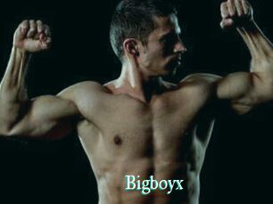 Bigboyx