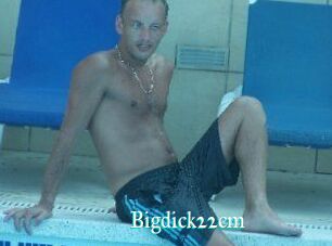 Bigdick22cm