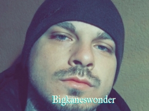 Bigkaneswonder